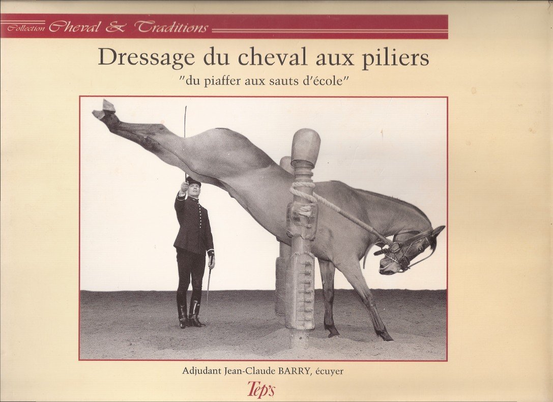 Couverture de  Dressage du cheval aux piliers